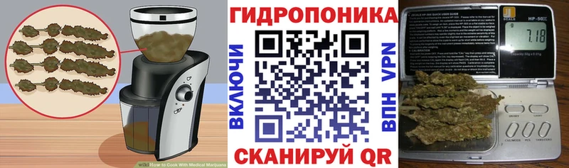 Canna-Cookies конопля  купить   кракен как войти  Кстово 